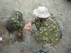 Определение плотности грунтов притрассовой полосы методом режущего кольца