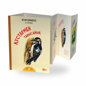 Книжка-гармошка: Qūstarmen tanysaiyq bo на каз. яз. (Знакомство с птицами) | Аруна Баспасы