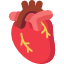 Поддержание здоровья сердца