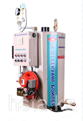 Паровой газовый котел SEKWANG BOILER SEK 500 + горелка SG 35