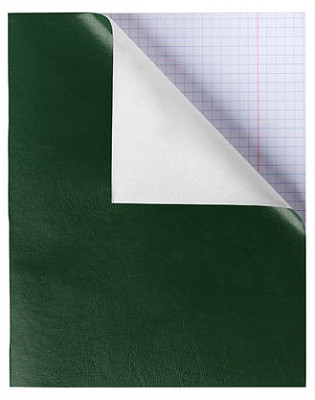 Тетрадь "Hatber NN", 96л, А5, клетка, обложка бумвинил, на скобе, серия "Зелёная" - фото 1 - id-p111873536