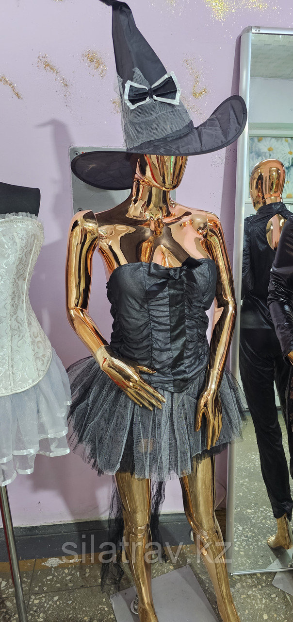 Табиғи мысықты қалай жасауға болады