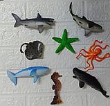 Набор животных морских, фото 4