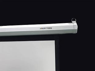 Proscreen PROscreen Экран моторизованный MLE9110