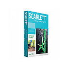 Весы Scarlett SC-BS33E051, фото 2