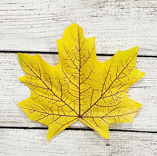 Кунилингус сквирт порно видео