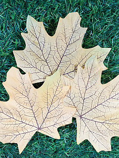 Гей-дәретхана бейнелері Валерия Крук порно