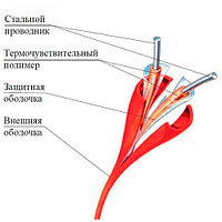 ИП104 "Спектрон-STSW - 105-CP"