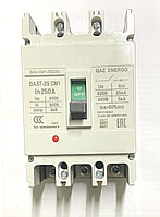 Автоматический выключатель Qaz Energo 3P 250A