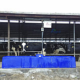 Поилка для коров на 40 голов TERRUI TPT401G, фото 4