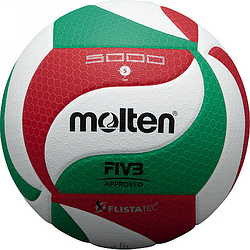 Волейбольный мяч Molten