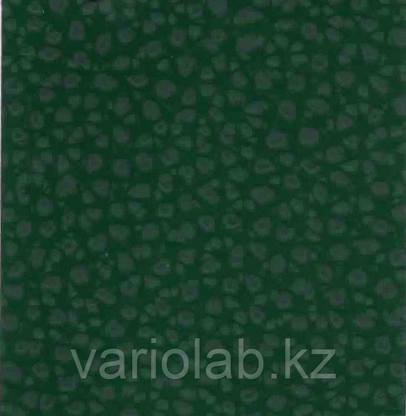 № 24