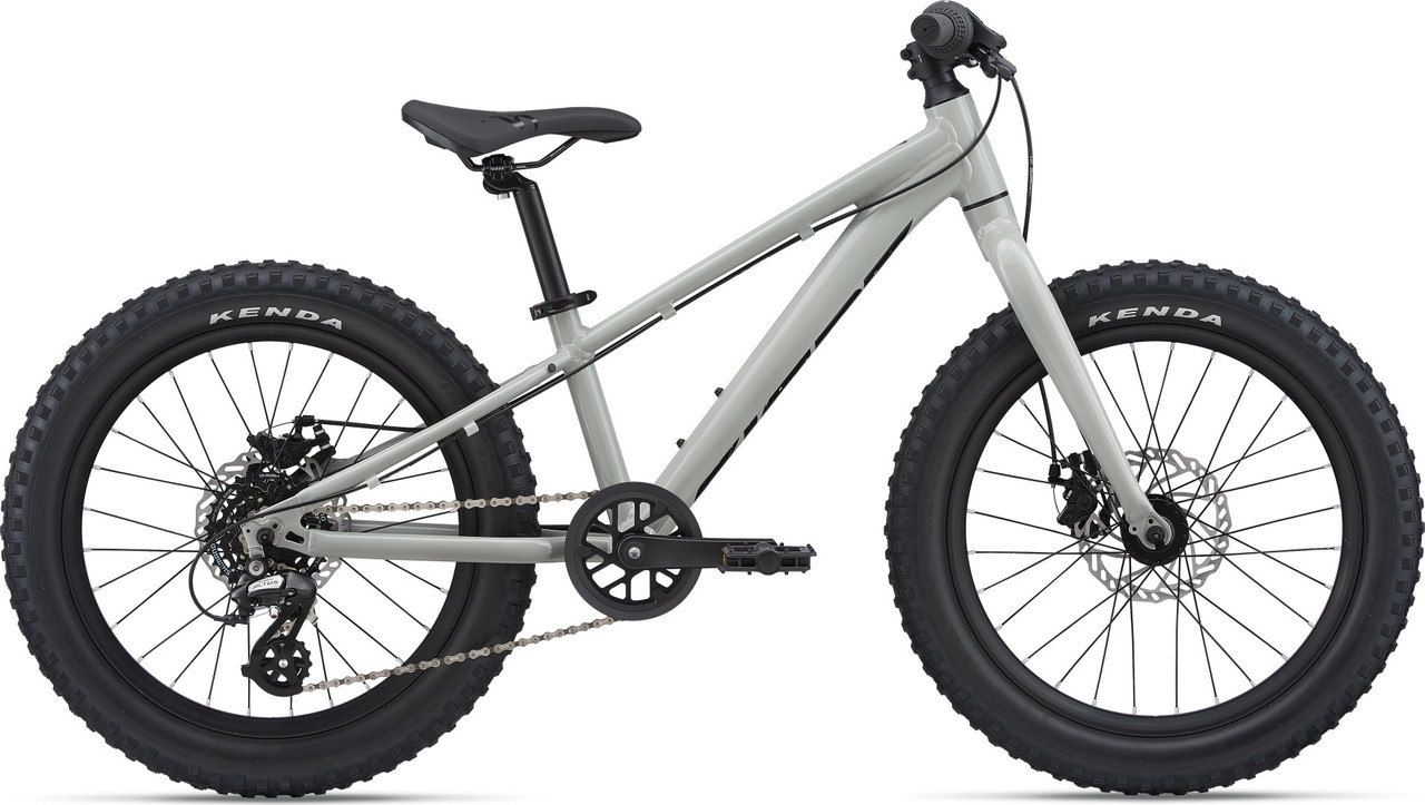 Велосипед детский Giant STP 20 (2023)