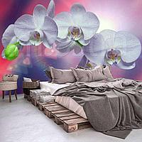 Голубая орхидея 4-012