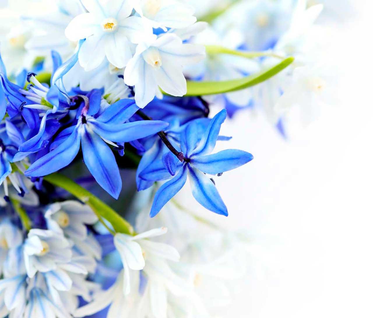Синие цветы на стену 9-085 - фото 2 - id-p111666889
