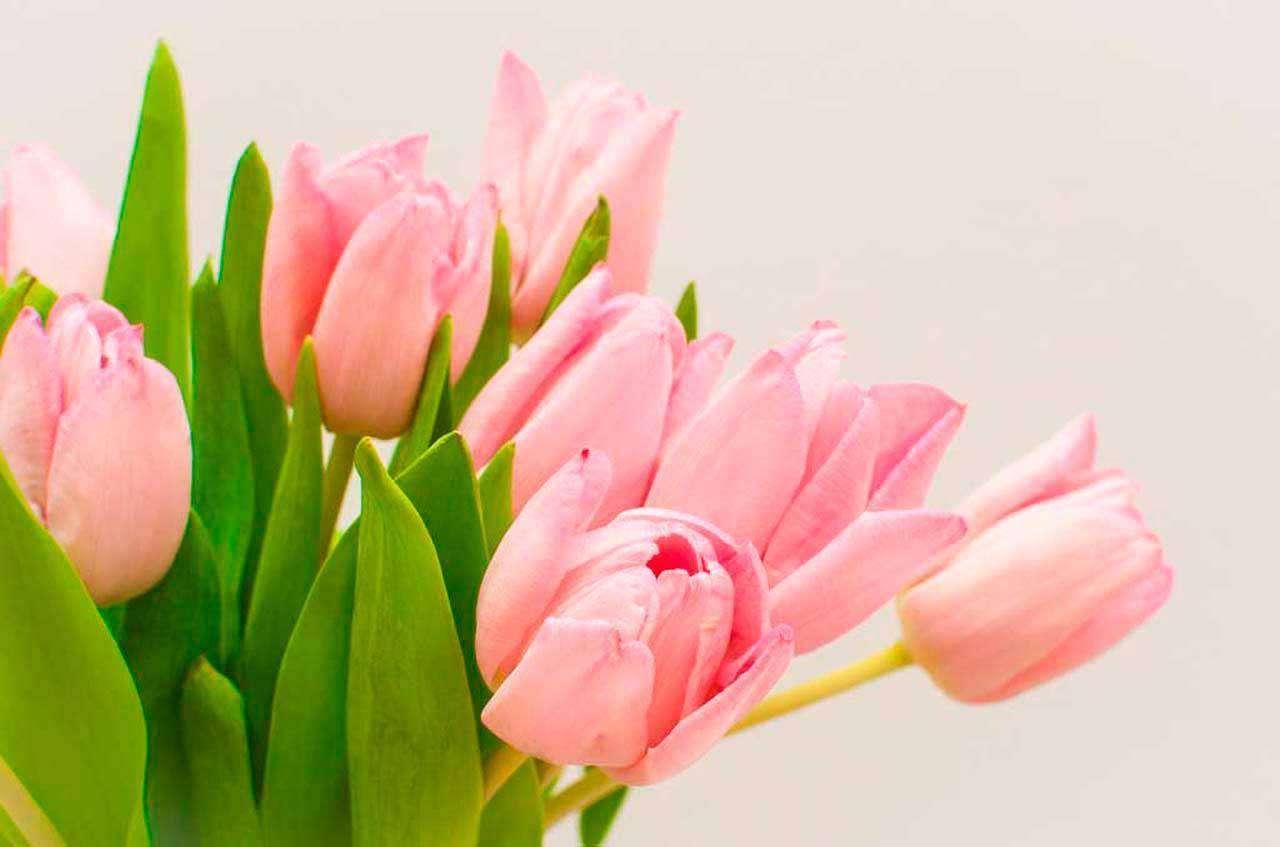 Букет розовых тюльпанов 10-121 - фото 2 - id-p111667974