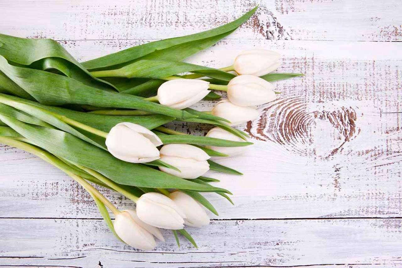 Букет весенних белых тюльпанов 10-146 - фото 2 - id-p111667997