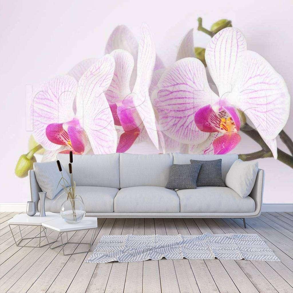 Розовая орхидея красивая 10-165 - фото 1 - id-p111668015
