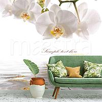 Белая орхидея над водой 10-199