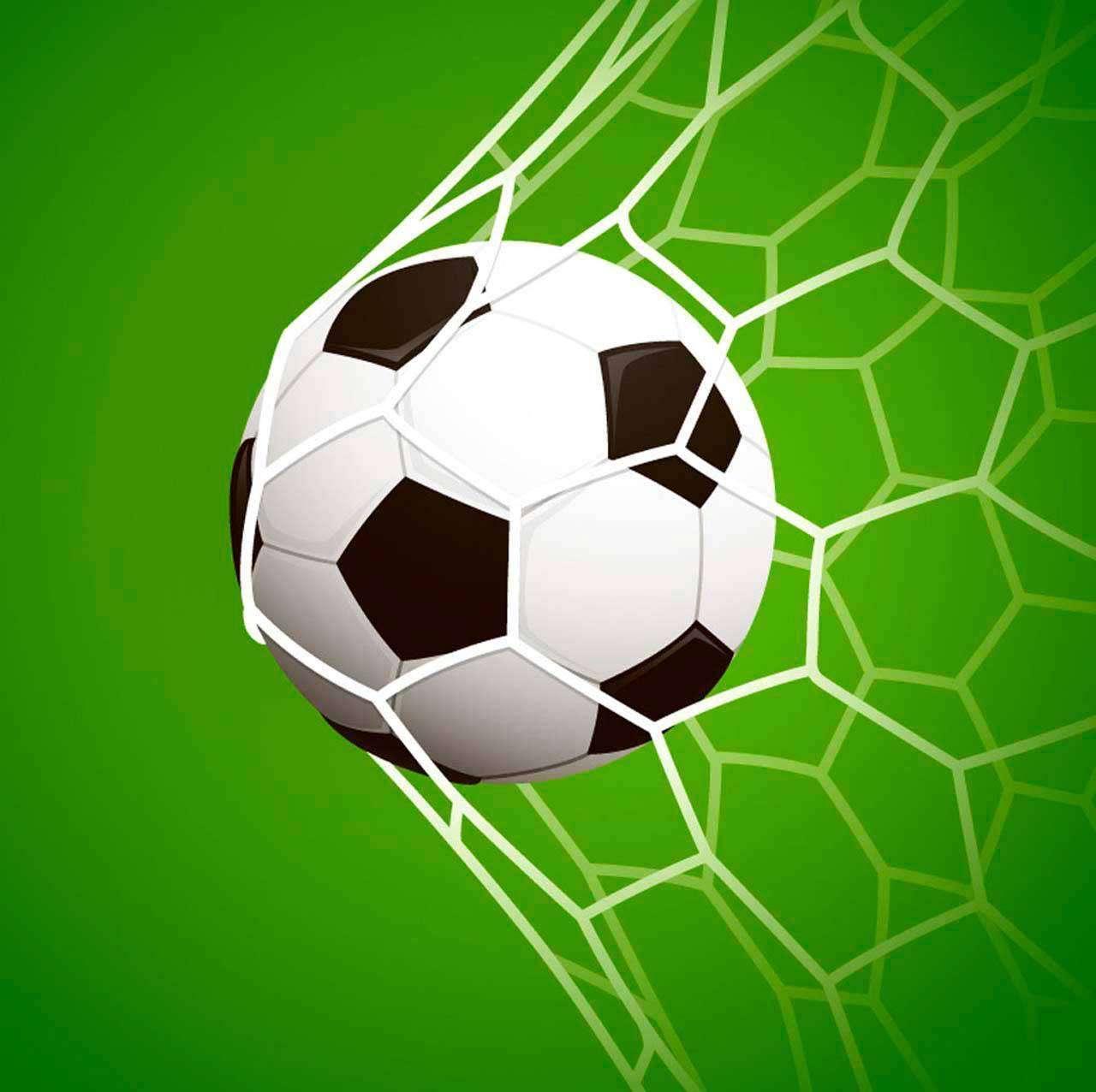 Мяч в сетке на зеленом фоне 12-524 - фото 2 - id-p111669306