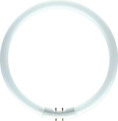 Лампа люминесцентная MASTER TL5 Circular 40W/840 2GX13 30.5cm - фото 2 - id-p112090615