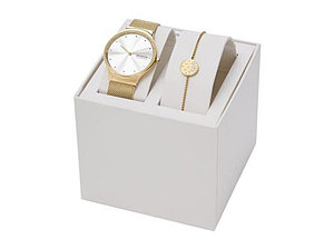 Подарочный набор: часы наручные женские, браслет. Skagen