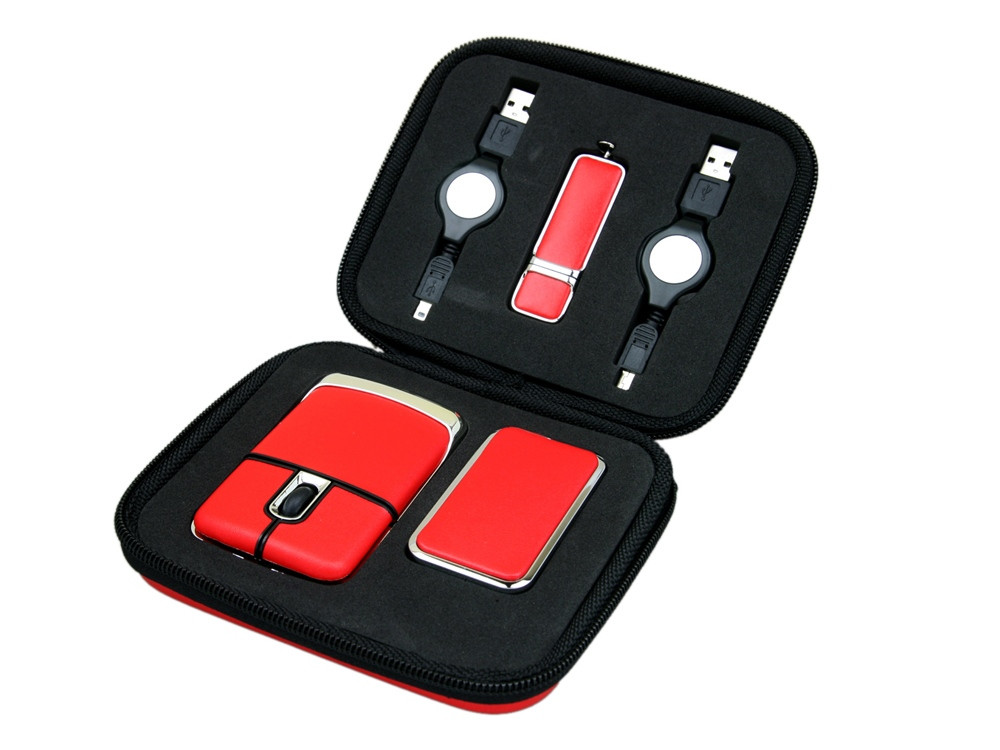 Подарочный набор USB-SET в кожанном исполнении в коробочке на 4 Гб, красный - фото 1 - id-p112102656
