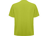Рубашка мужская Ferox, фисташковый, фото 2