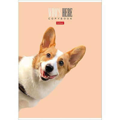 Тетрадь "Hatber", 96л, А4, клетка, ламинация, на скобе, серия "Кто здесь?", фото 1
