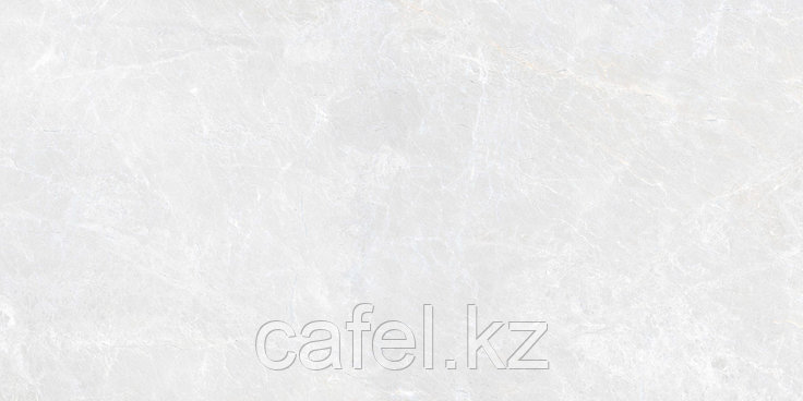 Керамогранит 120х60 G311 Sinara elegant MR, фото 1