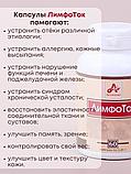 Фитокапсулы "ЛимфоТок" для очищения организма, 60 таблеток по 0,41 г, фото 4