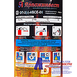 Огнетушитель порошковый ОП-2(з) АВСЕ Латунь в Алматы, Огнетушители от ...