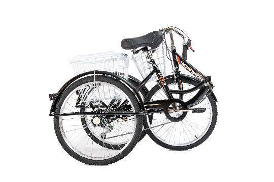 Велосипед трехколесный для взрослых РВЗ Чемпион 24" 6 скоростей складной - фото 2 - id-p112138268