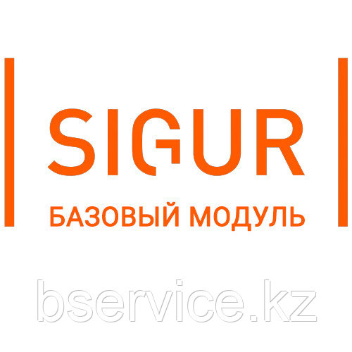 Базовый модуль SIGUR