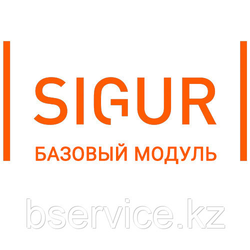Базовый модуль SIGUR - фото 1 - id-p112142716