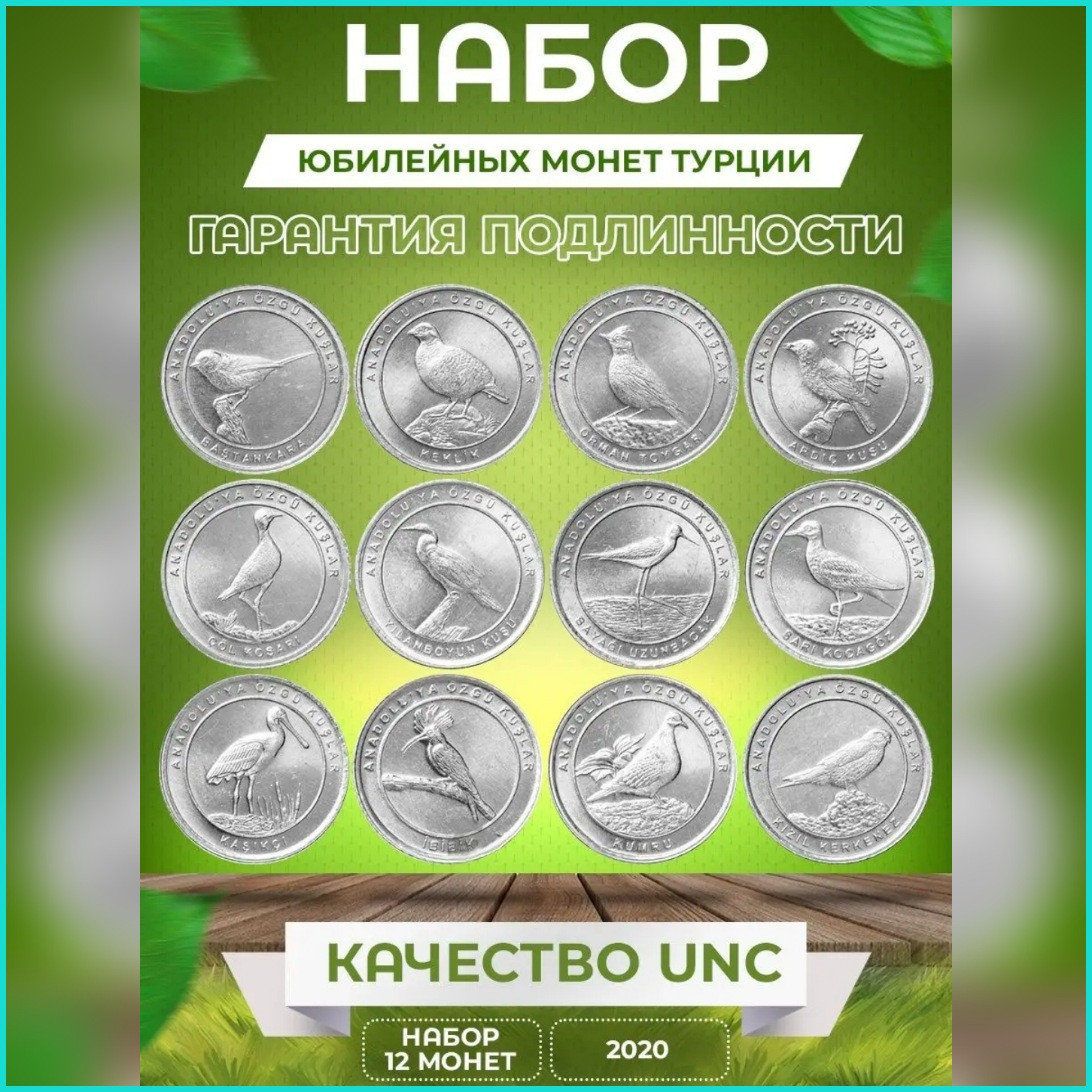 Набор монет "Птицы Анатолии" 1 куруш 2020 г. (Турция) 12 шт. - фото 1 - id-p112142882