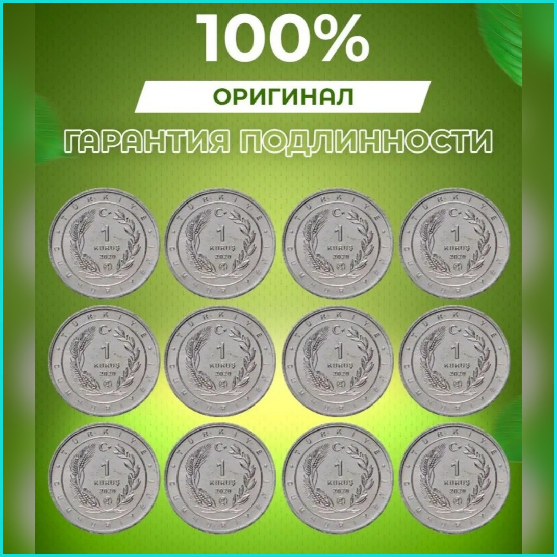 Набор монет "Птицы Анатолии" 1 куруш 2020 г. (Турция) 12 шт. - фото 2 - id-p112142882