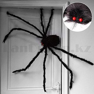 Жалаңаш поляк модельдері, ашық фотосуреттер