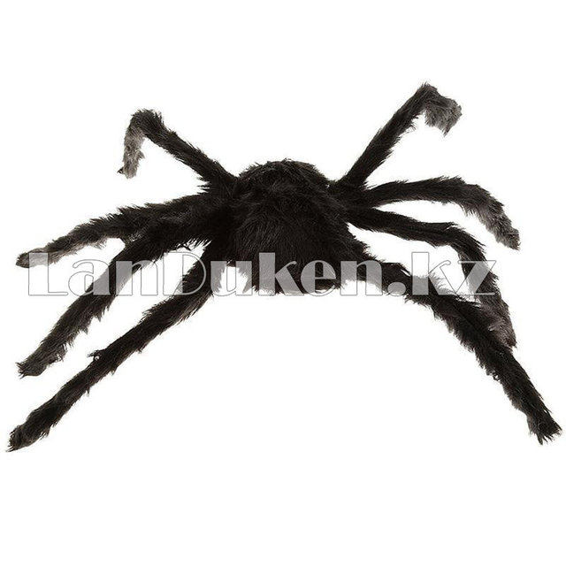 Анальды жарықтар операциясы туралы бейнені қараңыз