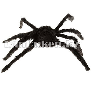 Үлкен өлшемді ханымдар бейнелері