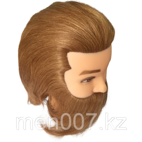 Манекен головы мужской 100% натуральный волос (светлый русый) - фото 2 - id-p112220688