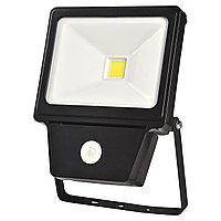 Прожектор LED COB SENSOR 50W BLACK 6000K (TEKLED)20шт