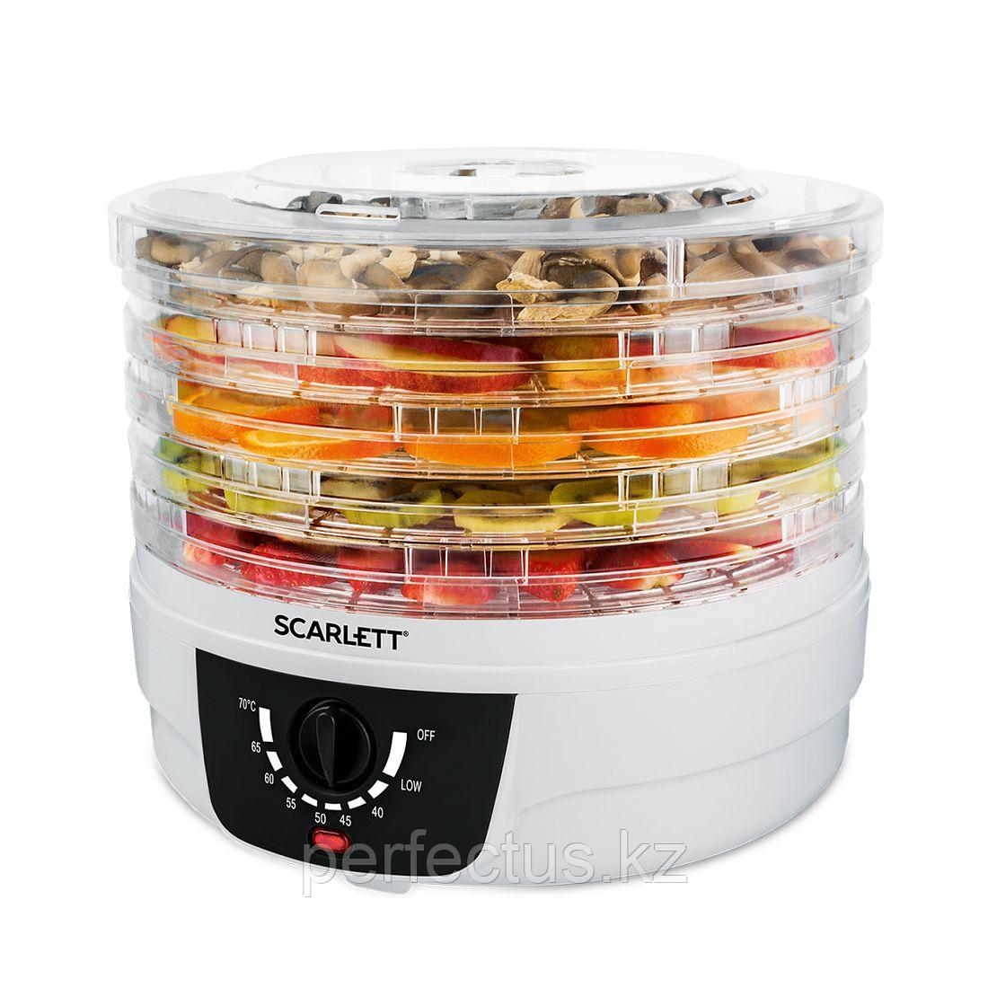 Сушилка для овощей и фруктов Scarlett SC-FD421004 - фото 3 - id-p108037238