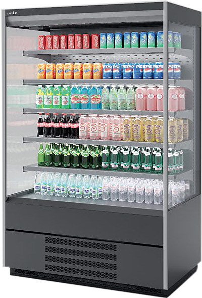 Горка холодильная Chilz BERG 125 серый - фото 1 - id-p112312244
