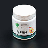 Nature Foods - L-Carnitine 150гр/100 порций Фруктовый пунш