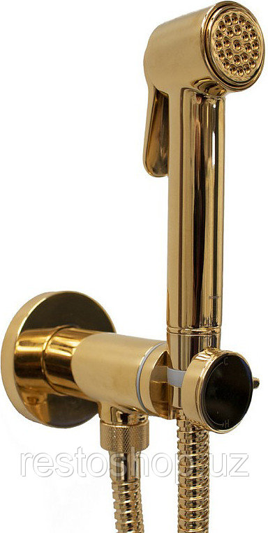 Гигиенический душ со смесителем Bossini Paloma Brass E37005B.021 - фото 1 - id-p112302499