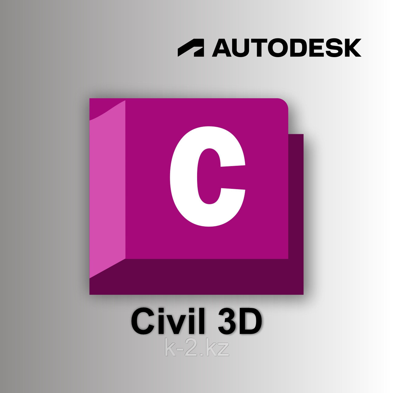 Autodesk Civil 3D 2025