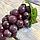 Искусственный виноград фиолетовый, 20см, фото 3