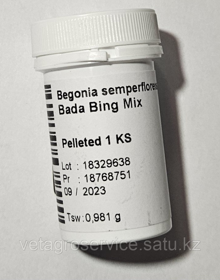 Бегония Bada Bing MIX Syngenta 1000 семян - фото 4 - id-p111855823