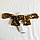 Костюм детский карнавальный Собачка жилетка шорты с хвостом и шапка М, фото 5